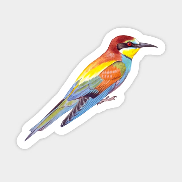 European Bee-eater Sticker by kokayart